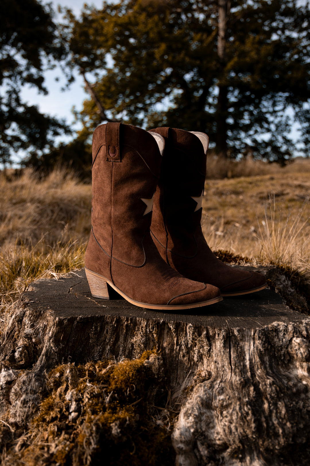 The 'Bandera' Boot