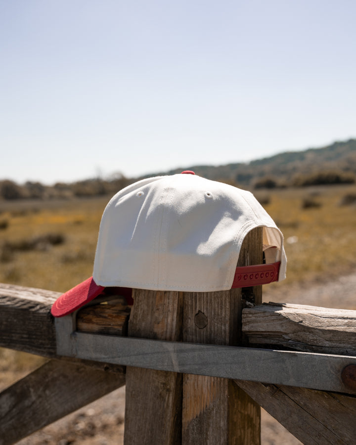 Embroidered Logo Trucker Snapback Hat