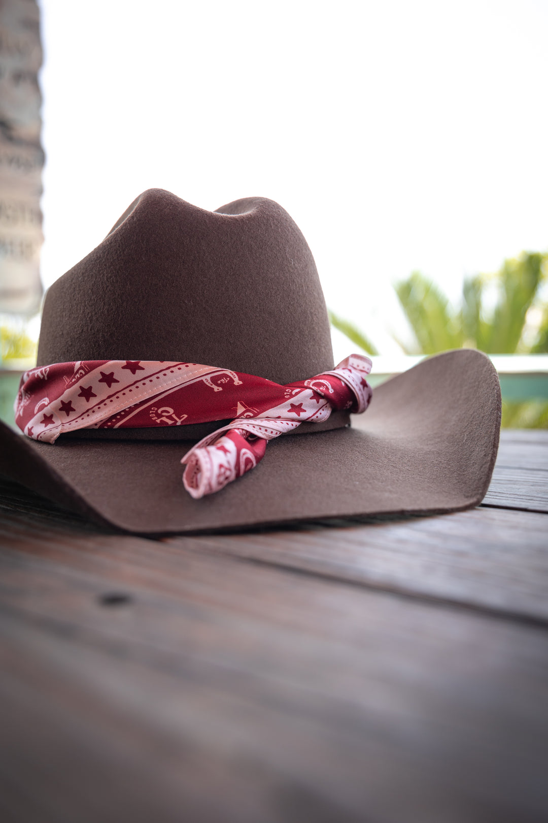 The Mustang Silk Scarf