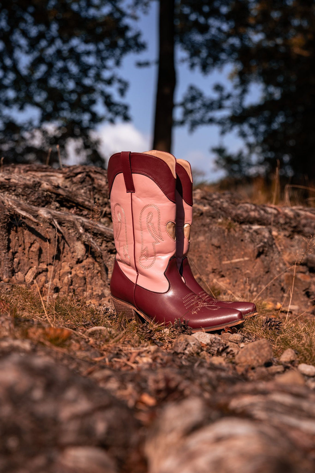 Pink and Burgundy Cowgirl Boots